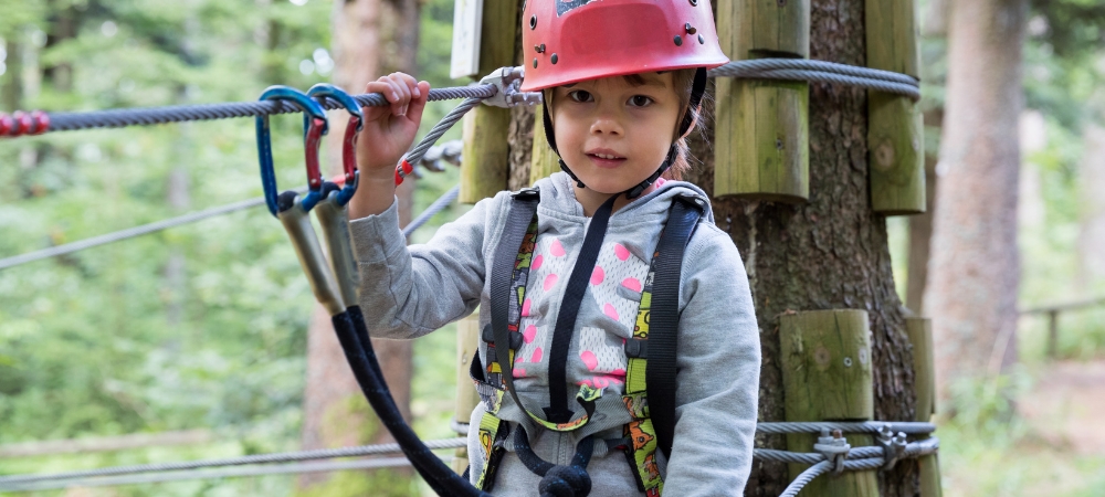 The Adventure Forest, tree climbing courses