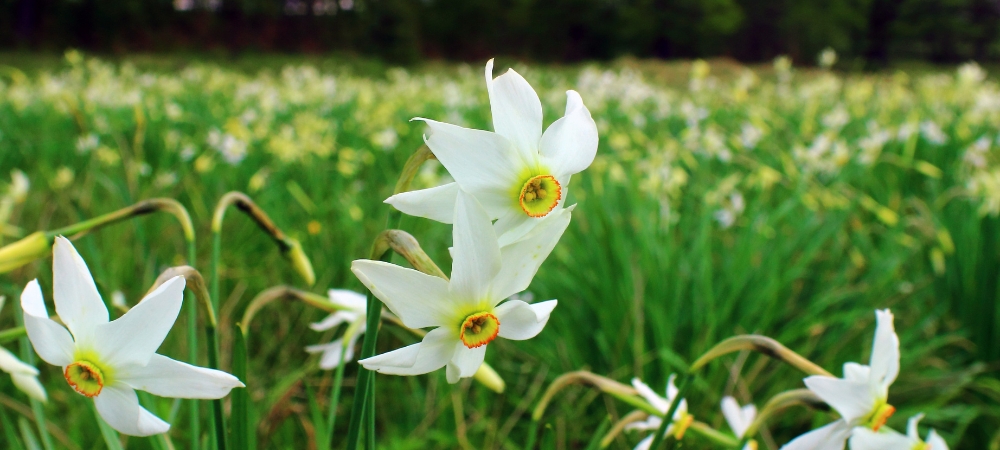 Vos vacances de Pâques au Relais du Léman